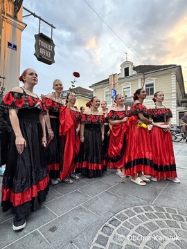 Poletje v Kamniku_Šinšin (6)
